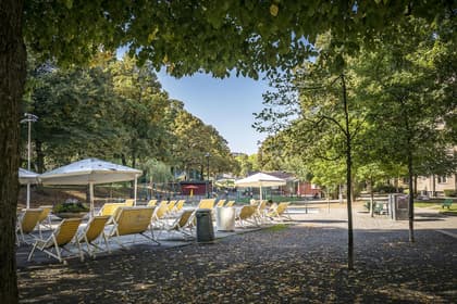 Bild av närområdet