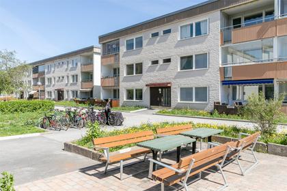 Bild av närområdet