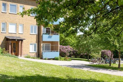 Bild av närområdet