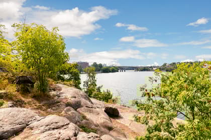 Bild av närområdet