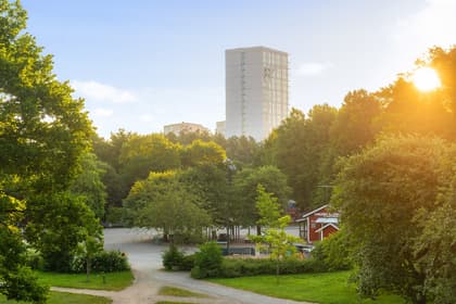 Bild av närområdet