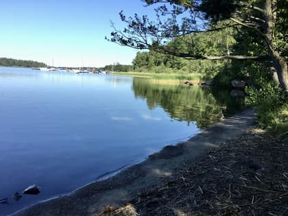 Bild av närområdet