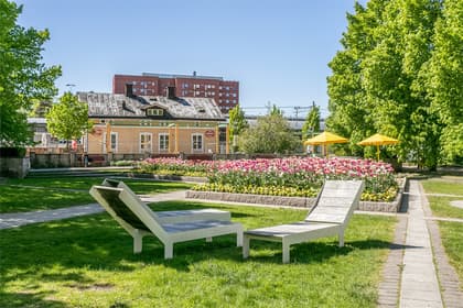 Bild av närområdet