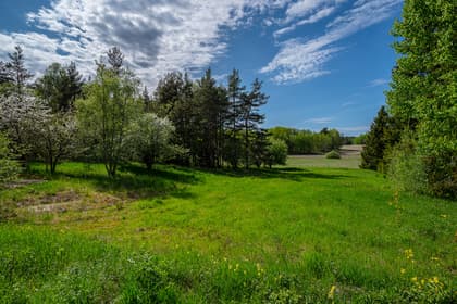 Bild av närområdet