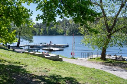 Bild av närområdet