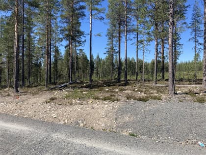 Bild av närområdet