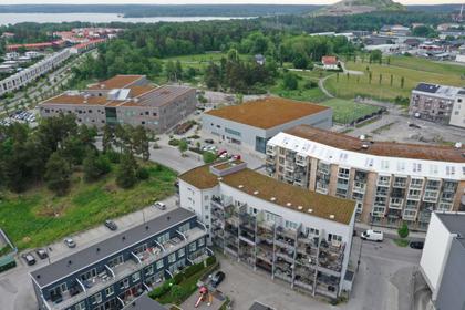 Bild av närområdet
