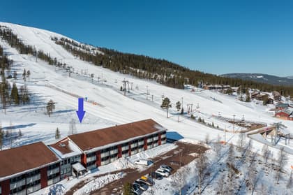 Bild av närområdet