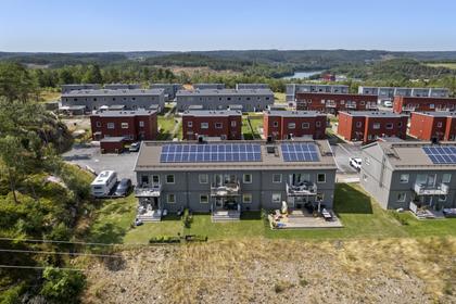 Bild av närområdet