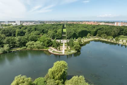 Bild av närområdet