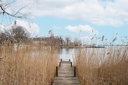 Bild av närområdet