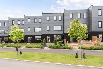 Bild av närområdet