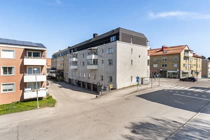 Bild av närområdet