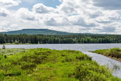 Bild av närområdet