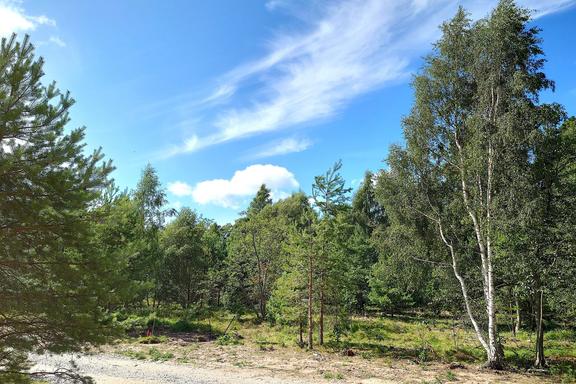 Vamlingbo Austre, Gotland