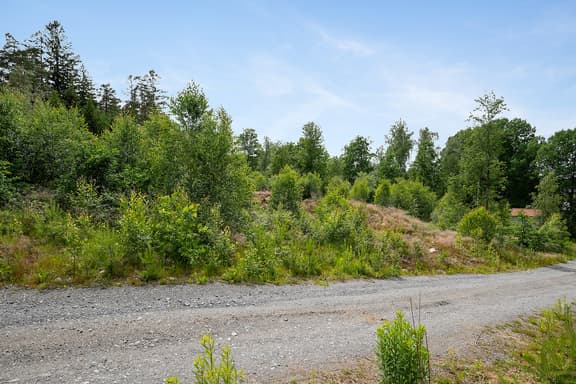 Stegareberg Kullabacken 1, Mark