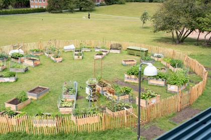 Illustrerad karta över fastigheten eller området