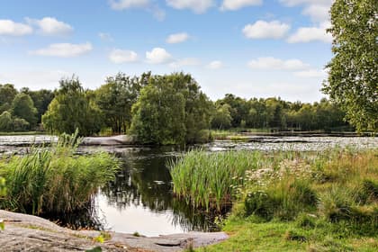 Bild av närområdet