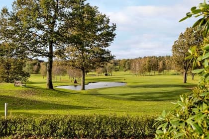 Bild av närområdet