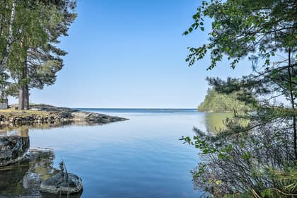 Bild av närområdet