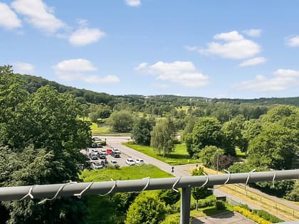 Bild av närområdet