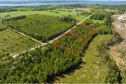 Bild av närområdet