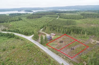 Bild av närområdet