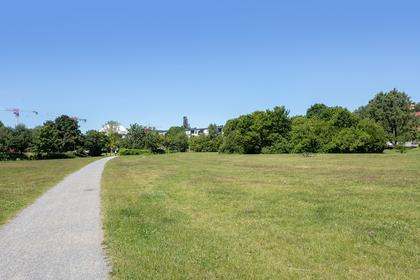 Bild av närområdet