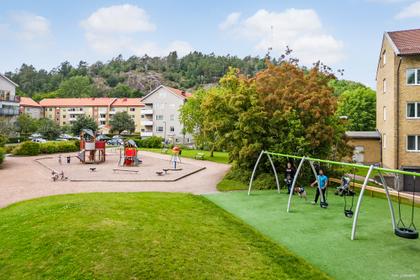 Bild av närområdet