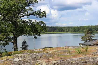 Bild av närområdet