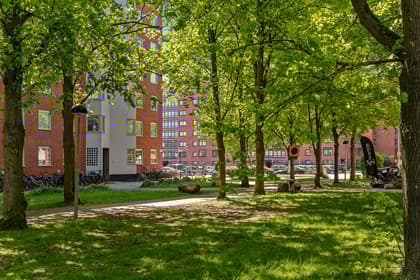 Bild av närområdet