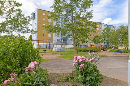 Bild av närområdet
