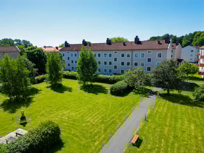 Bild av närområdet