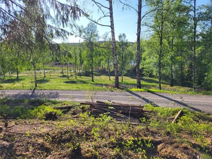 Bild av närområdet