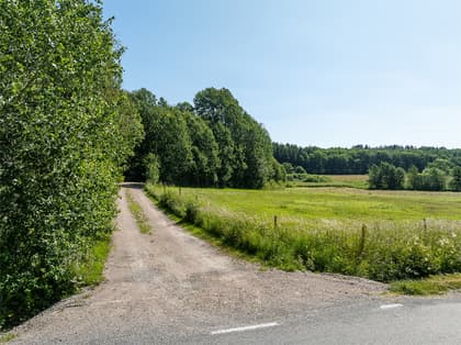 Bild av närområdet