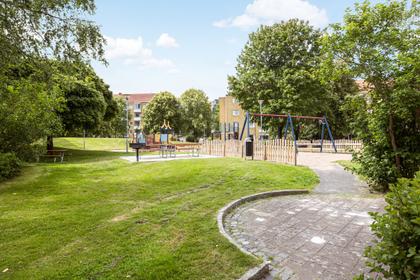 Bild av närområdet