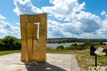 Bild av närområdet