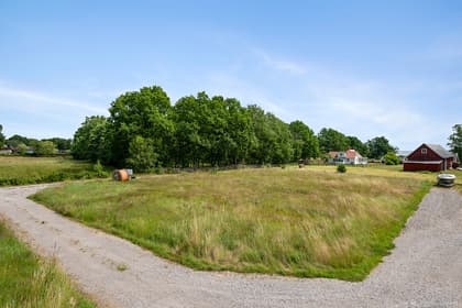 Bild av närområdet