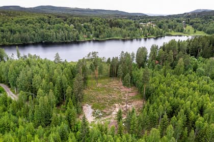 Bild av närområdet