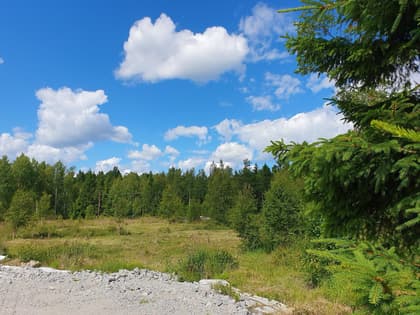 Koholma Byväg 11B, Koholma