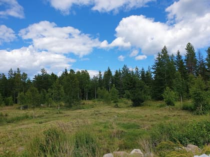 Koholma Byväg 11A, Koholma