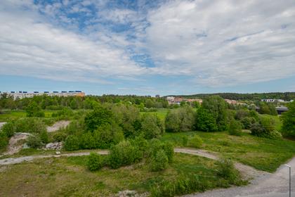 Bild av närområdet