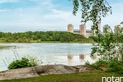 Bild av närområdet