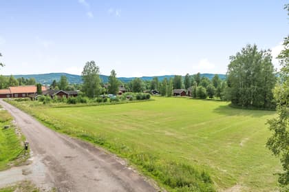 Bild av närområdet