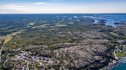 Bild av närområdet