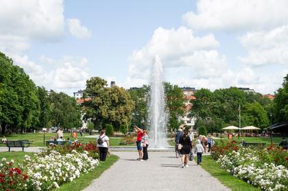Bild av närområdet