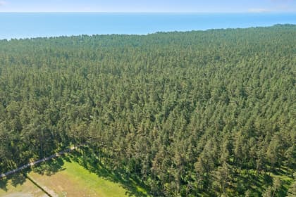 Illustrerad karta över fastigheten eller området