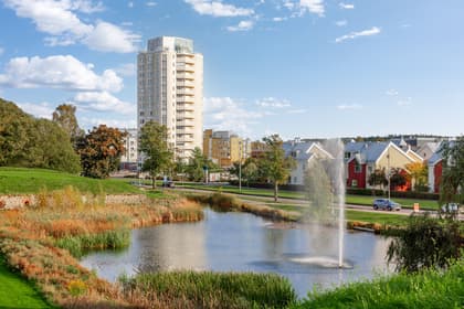 Bild av närområdet