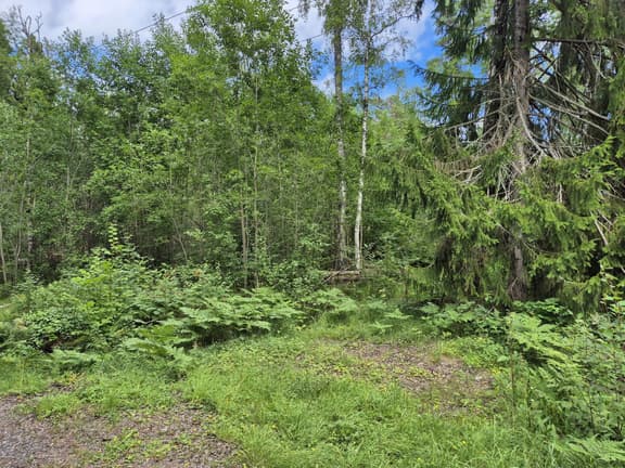 Braxens väg 12, Norrtälje