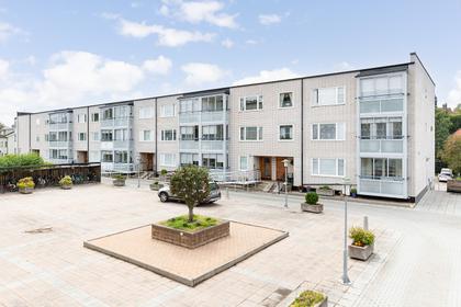 Bild av närområdet